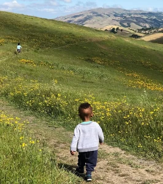 Toddler hiking on hillside